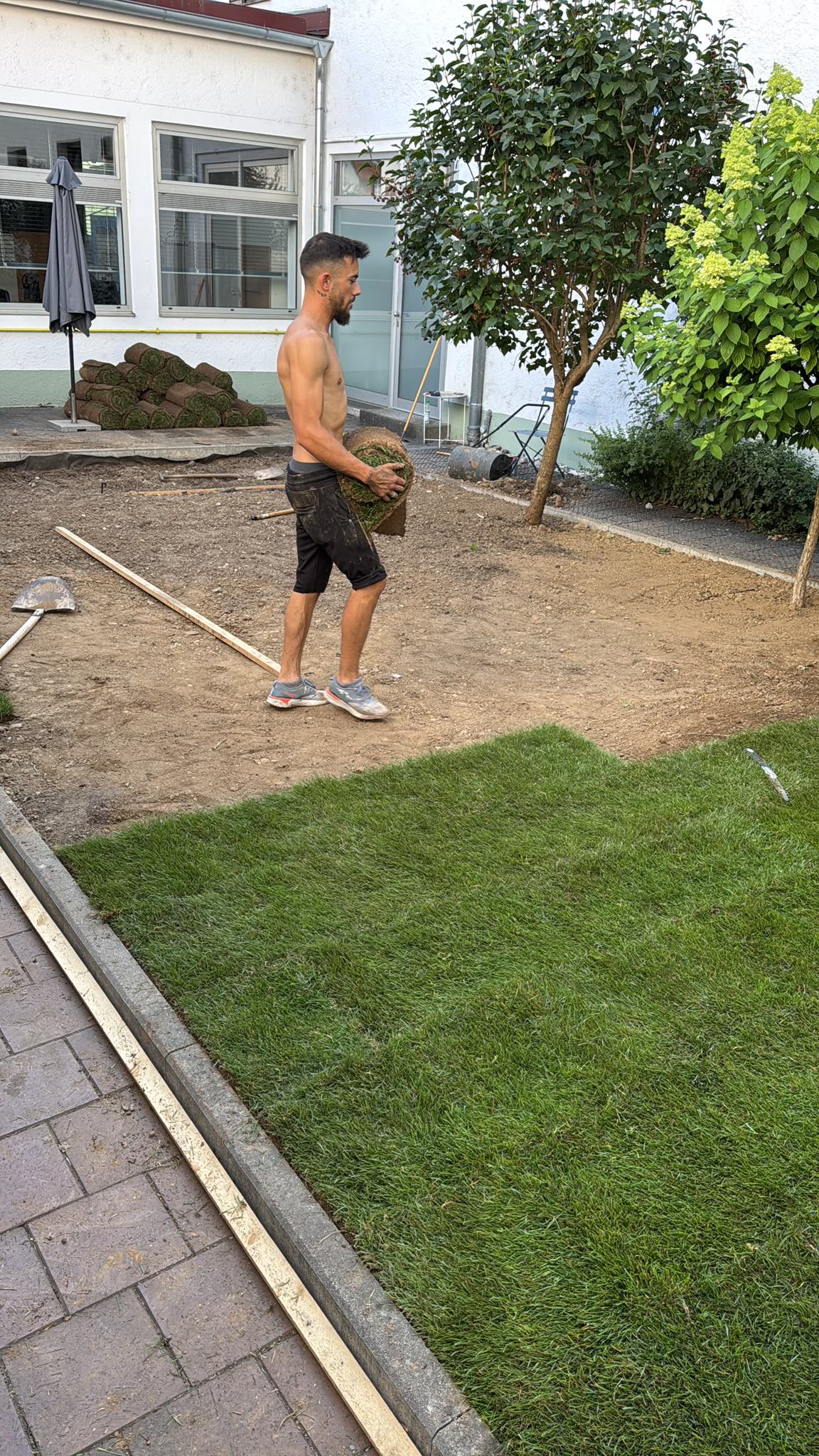Gartenanlage mit frisch verlegtem Rollrasen – Aufnahme aus unseren Arbeiten